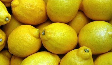 Üretici ve market arasındaki en yüksek fiyat farkı yüzde 378’le limonda